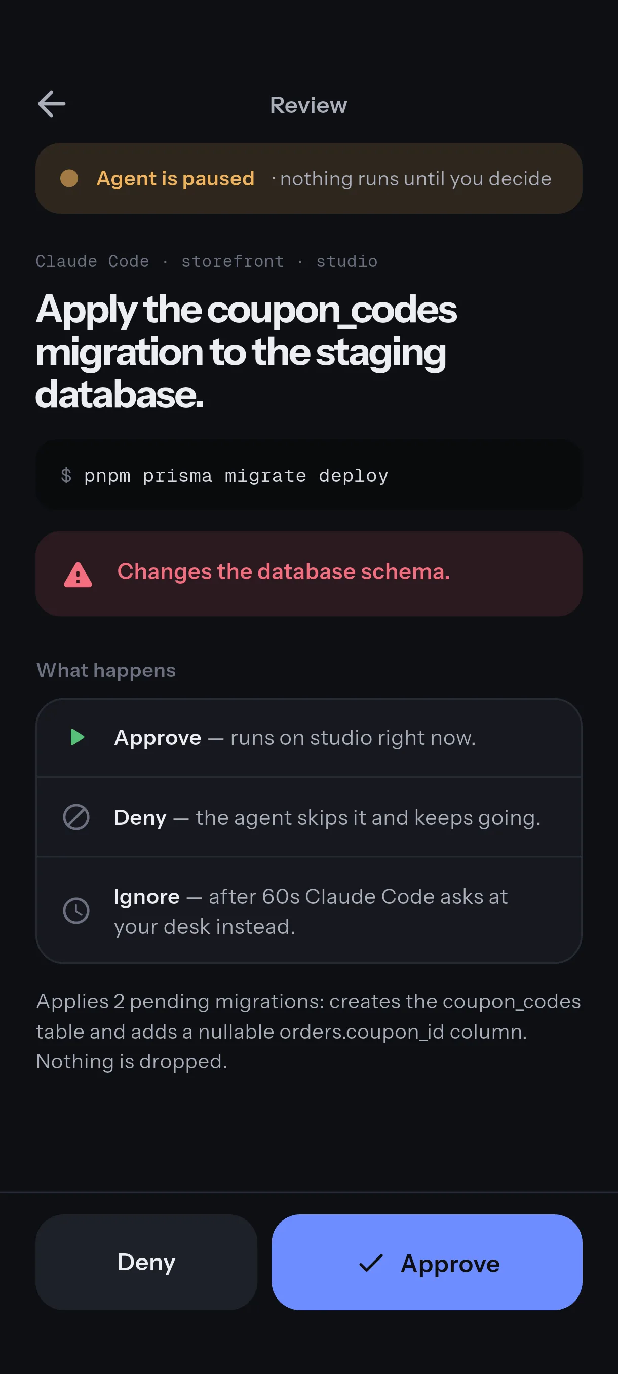 The Review screen for a database migration command, with a warning that it changes the schema and what Approve, Deny and Ignore each do.